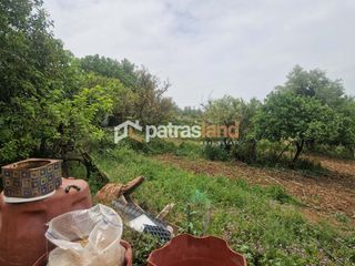 Αγροτεμάχια 4.970 τ.μ. για πώληση, Αχαΐα, Μεσσατίδα-thumb-12