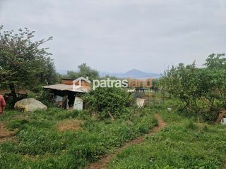 Αγροτεμάχια 4.970 τ.μ. για πώληση, Αχαΐα, Μεσσατίδα-thumb-4