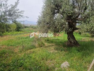 Αγροτεμάχια 4.970 τ.μ. για πώληση