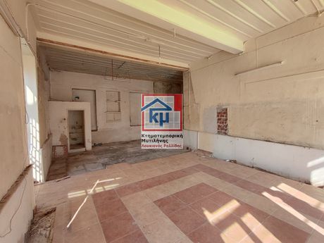 Μονοκατοικία 303 τ.μ. πρός πώληση
