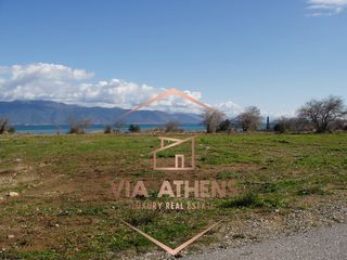 Οικόπεδο 68.000 τ.μ. για πώληση, Αχαΐα, Αίγιο-thumb-1