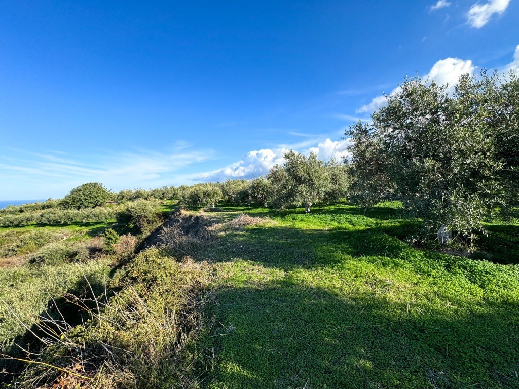 Αγροτεμάχια 9.196 τ.μ. πρός πώληση, Ν. Ρεθύμνου, Ρέθυμνο