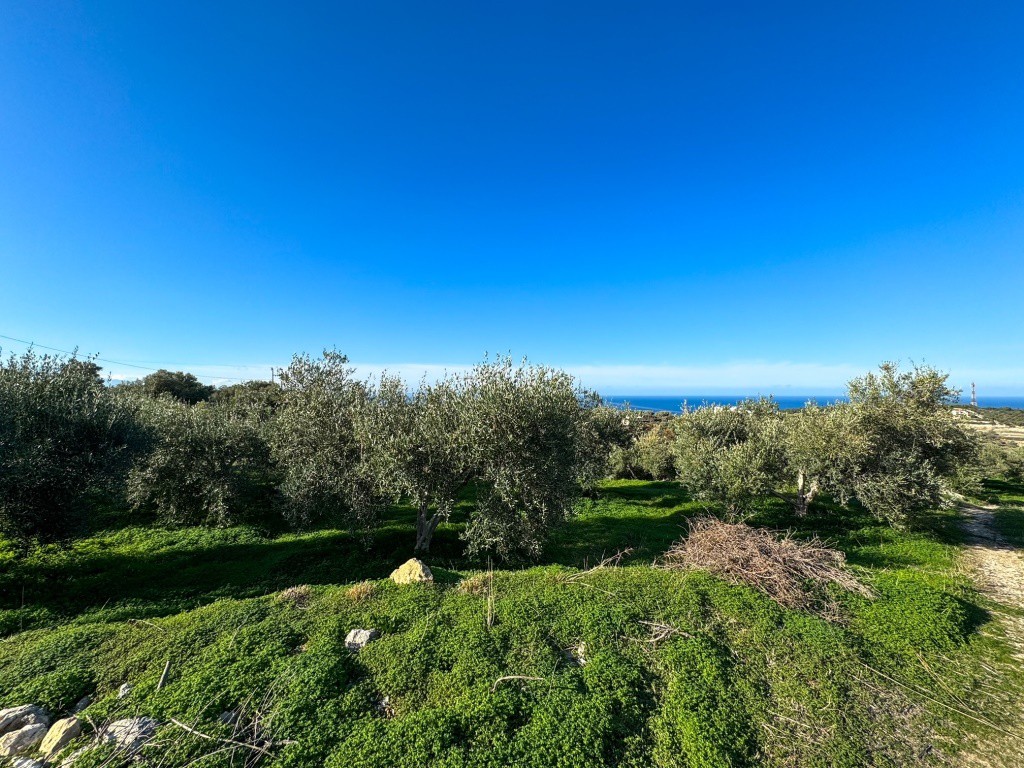 Αγροτεμάχια 9.196 τ.μ. πρός πώληση, Ν. Ρεθύμνου, Ρέθυμνο
