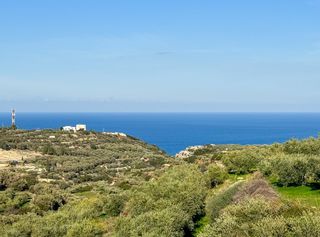 Αγροτεμάχια 9.196 τ.μ. για πώληση