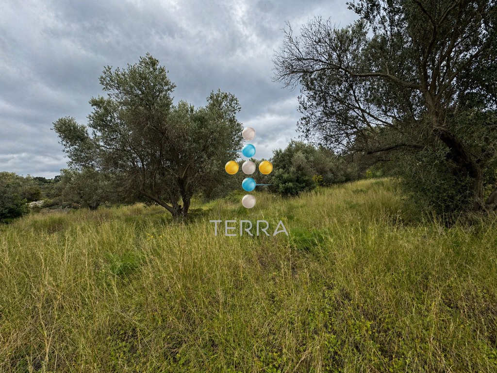 Αγροτεμάχια 4.988,51 τ.μ. πρός πώληση, Ν. Ρεθύμνου, Αρκάδι