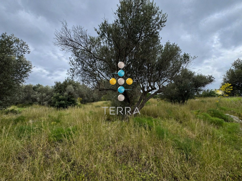 Αγροτεμάχια 4.988,51 τ.μ. πρός πώληση, Ν. Ρεθύμνου, Αρκάδι