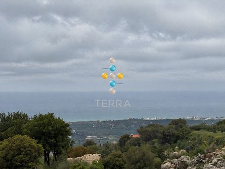 Αγροτεμάχια 4.988,51 τ.μ. για πώληση