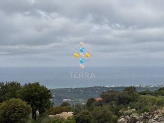 Αγροτεμάχια 4.988,51 τ.μ. για πώληση