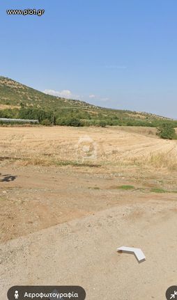 Αγροτεμάχια 14.000 τ.μ. για πώληση, Ημαθία, Ανθεμιά
