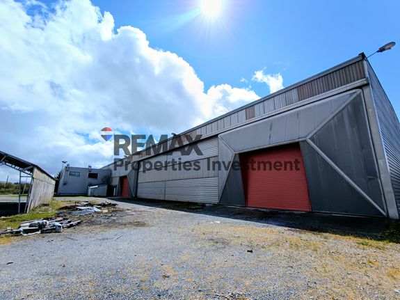 Βιομηχανικός χώρος 4.008,41 τ.μ. για πώληση, Αρκαδία, Τρίπολη