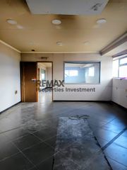 Βιομηχανικός χώρος 4.008,41 τ.μ. για πώληση, Αρκαδία, Τρίπολη-thumb-3
