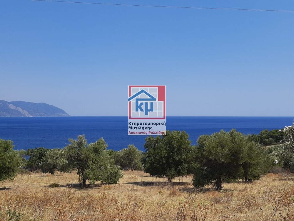 Οικόπεδο 4.026 τ.μ. πρός πώληση, Ν. Λέσβου, Λέσβος - Πολιχνίτος