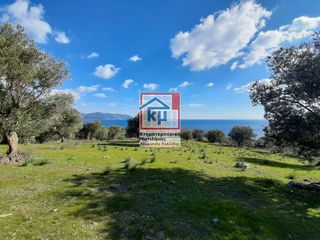 Οικόπεδο 4.026 τ.μ. για πώληση