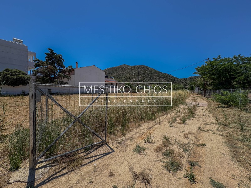 Οικόπεδο 450 τ.μ. προς πώληση, Μαστιχοχώρια