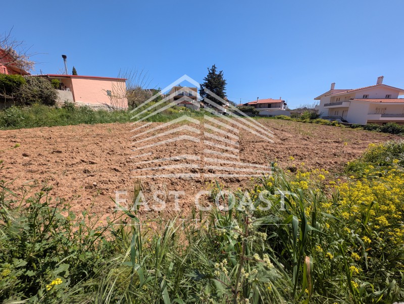 Οικόπεδο 2.180 τ.μ. πρός πώληση, Αθήνα - Ανατολικά Προάστια, Γραμματικό