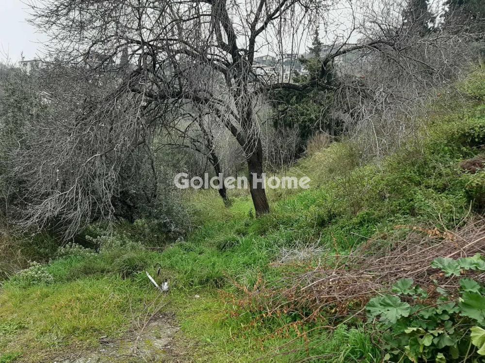 Οικόπεδο 1.005 τ.μ. πρός πώληση, Μαγνησία, Ιωλκός