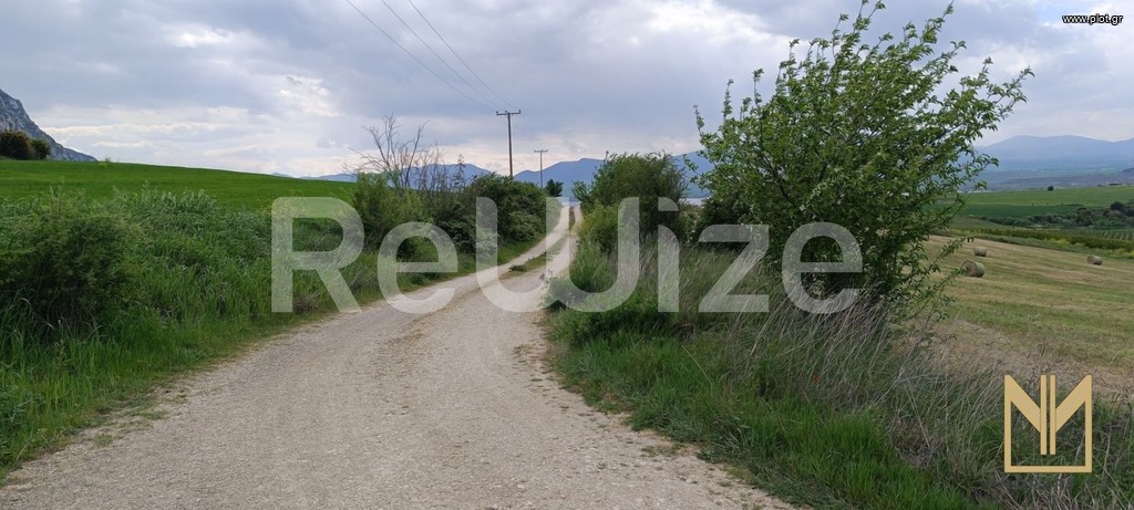Αγροτεμάχια 9.558 τ.μ. πρός πώληση, Ν. Κοζάνης, Σέρβια