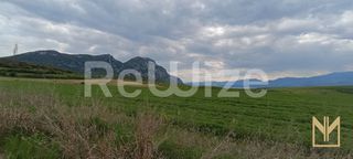Αγροτεμάχια 9.558 τ.μ. για πώληση, Ν. Κοζάνης, Σέρβια-thumb-5