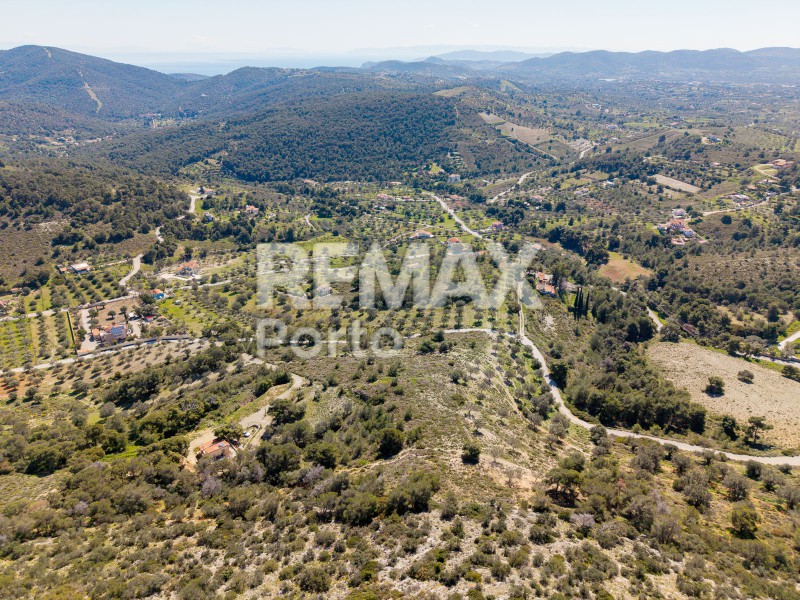 Αγροτεμάχια 5.117 τ.μ. πρός πώληση, Αττική - Υπόλοιπο, Κουβαράς