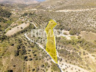 Αγροτεμάχια 5.117 τ.μ. για πώληση