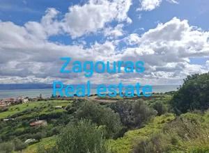 Οικόπεδο 10.000 τ.μ. για πώληση