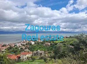 Οικόπεδο 10.000 τ.μ. για πώληση, Μεσσηνία, Πεταλίδι-thumb-2