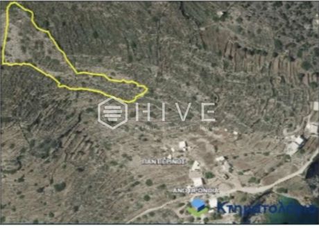 Αγροτεμάχια 8.850 τ.μ. για πώληση