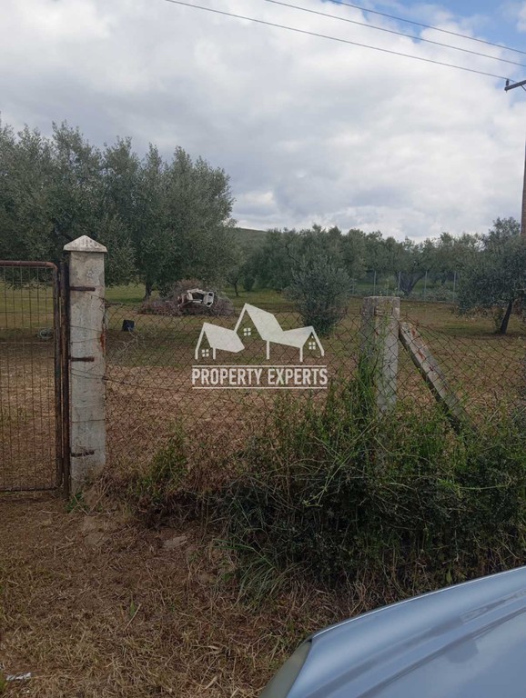 Αγροτεμάχια 2.200 τ.μ. πρός πώληση, Εβρος, Αλεξανδρούπολη