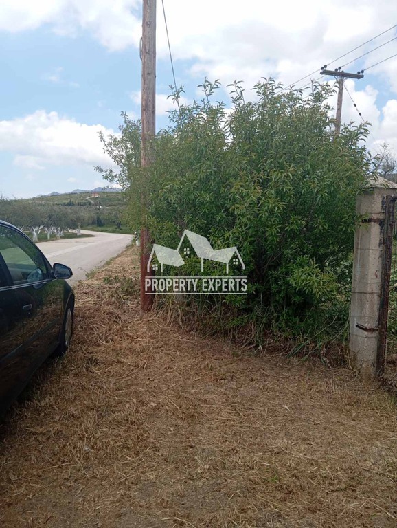 Αγροτεμάχια 2.200 τ.μ. πρός πώληση, Εβρος, Αλεξανδρούπολη