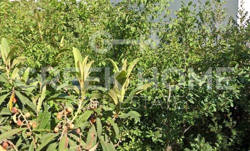Land plot 198 sqm for sale, Athens - North, Agia Paraskevi
