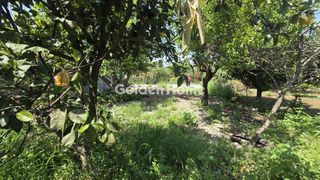 Οικόπεδο 174 τ.μ. πρός πώληση, Αχαΐα, Παραλία-thumb-3