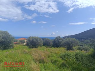 Οικόπεδο 1.973 τ.μ. προς πώληση, Βασιλίτσι-thumb-5