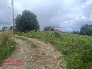 Οικόπεδο 1.973 τ.μ. προς πώληση, Βασιλίτσι-thumb-6
