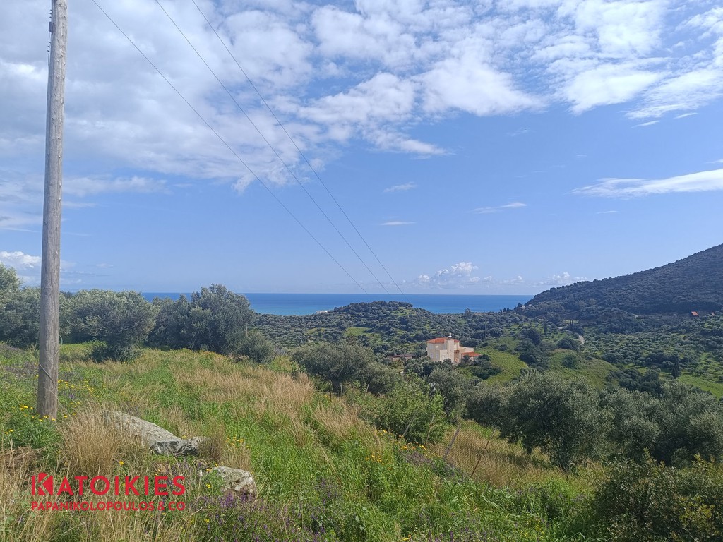 Οικόπεδο 1.973 τ.μ. προς πώληση, Βασιλίτσι