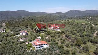Αγροτεμάχια 4.166 τ.μ. για πώληση, Χαλκιδική, Ορμύλια-thumb-9