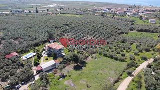 Αγροτεμάχια 4.166 τ.μ. για πώληση, Χαλκιδική, Ορμύλια-thumb-2