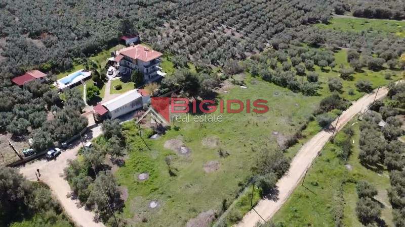 Αγροτεμάχια 4.166 τ.μ. προς πώληση, Ψακούδια