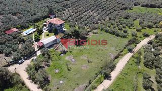 Αγροτεμάχια 4.166 τ.μ. για πώληση, Χαλκιδική, Ορμύλια-thumb-3