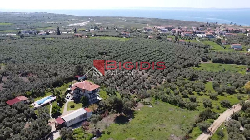 Αγροτεμάχια 4.166 τ.μ. προς πώληση, Ψακούδια