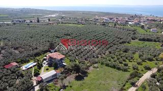 Αγροτεμάχια 4.166 τ.μ. για πώληση, Χαλκιδική, Ορμύλια-thumb-1