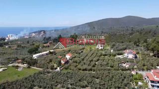 Αγροτεμάχια 4.166 τ.μ. για πώληση, Χαλκιδική, Ορμύλια-thumb-10