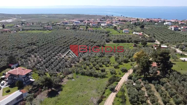 Αγροτεμάχια 4.166 τ.μ. για πώληση, Χαλκιδική, Ορμύλια