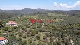 Αγροτεμάχια 4.166 τ.μ. για πώληση, Χαλκιδική, Ορμύλια-thumb-7