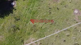 Αγροτεμάχια 4.166 τ.μ. για πώληση, Χαλκιδική, Ορμύλια-thumb-11