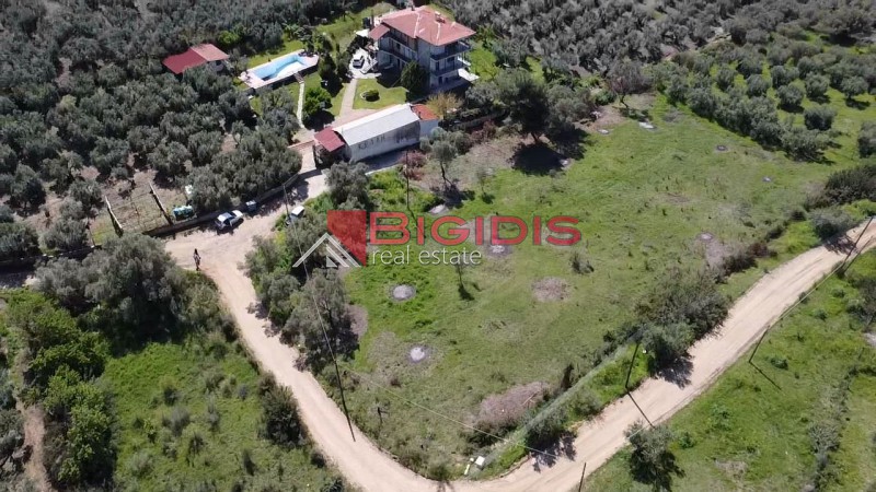 Αγροτεμάχια 4.166 τ.μ. προς πώληση, Ψακούδια