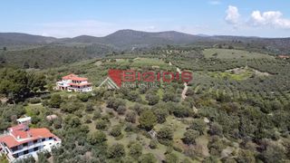 Αγροτεμάχια 4.166 τ.μ. για πώληση, Χαλκιδική, Ορμύλια-thumb-8