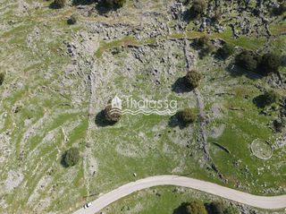 Οικόπεδο 9.248 τ.μ. για πώληση