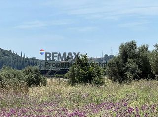 Αγροτεμάχια 7.489 τ.μ. για πώληση, Μεσσηνία, Μελιγαλά-thumb-2