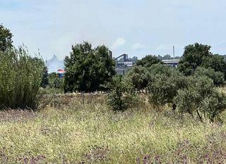 Αγροτεμάχια 7.489 τ.μ. για πώληση, Μεσσηνία, Μελιγαλά-thumb-1