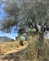 Αγροτεμάχια 7.489 τ.μ. για πώληση, Μεσσηνία, Μελιγαλά-thumb-3